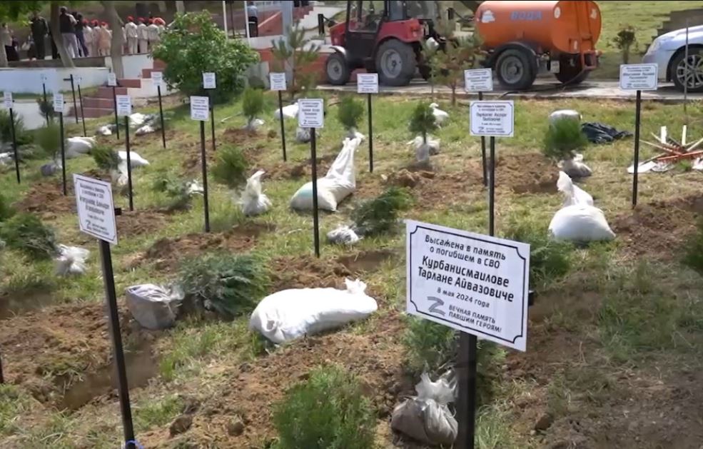 Аллею памяти погибших в спецоперации высадили в Дербенте