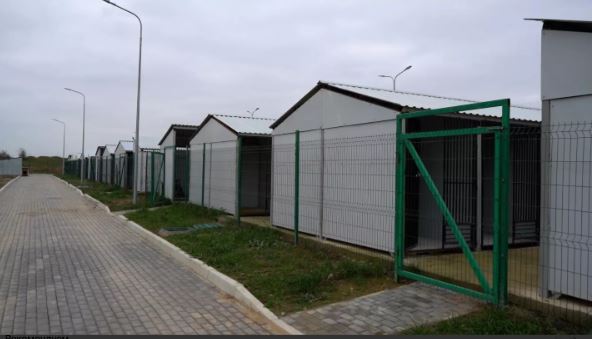 Крупнейший приют для бездомных животных открыли в Дербенте