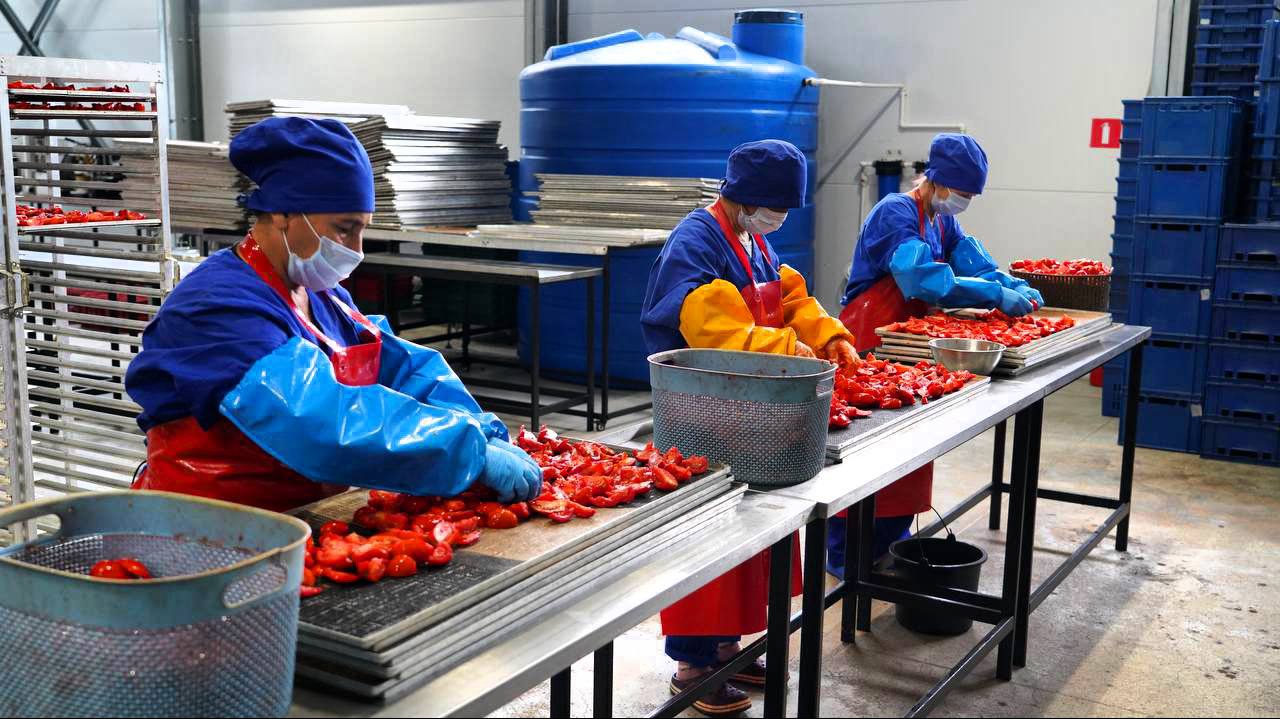 Производство плодоовощной консервной продукции в Дагестане в 2025 году вырастет более чем на 25%