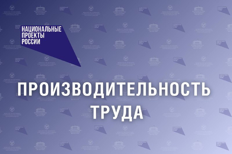 Дагестан присоединяется к федеральному проекту «Производительность труда»: новые возможности для бизнеса и социальной сферы