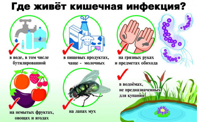 Общая заболеваемость острой кишечной инфекцией в Дагестане снизилась в 2,2 раза