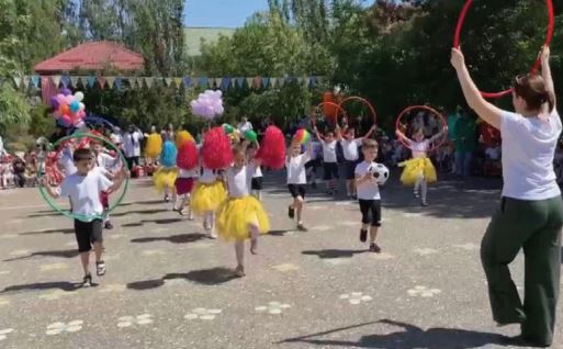 Ромашковая территория