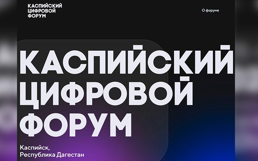 Власти Дагестана перенесли международный цифровой форум на две недели из-за беспорядков в аэропорту Махачкалы