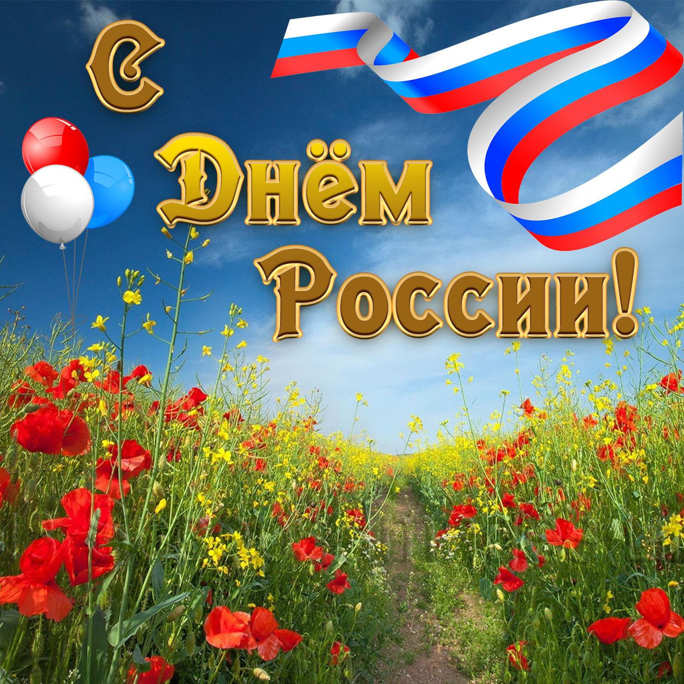 Сегодня россияне отмечают один из главных государственных праздников - День России