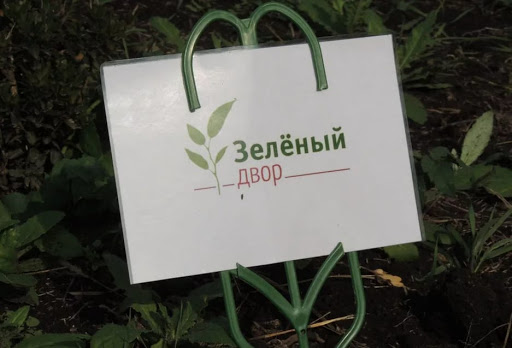 Акция «Зеленый двор» в Махачкале