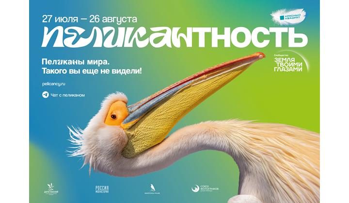 Международная фотовыставка «Пеликантность. Пеликаны мира» открывается в Дагестане