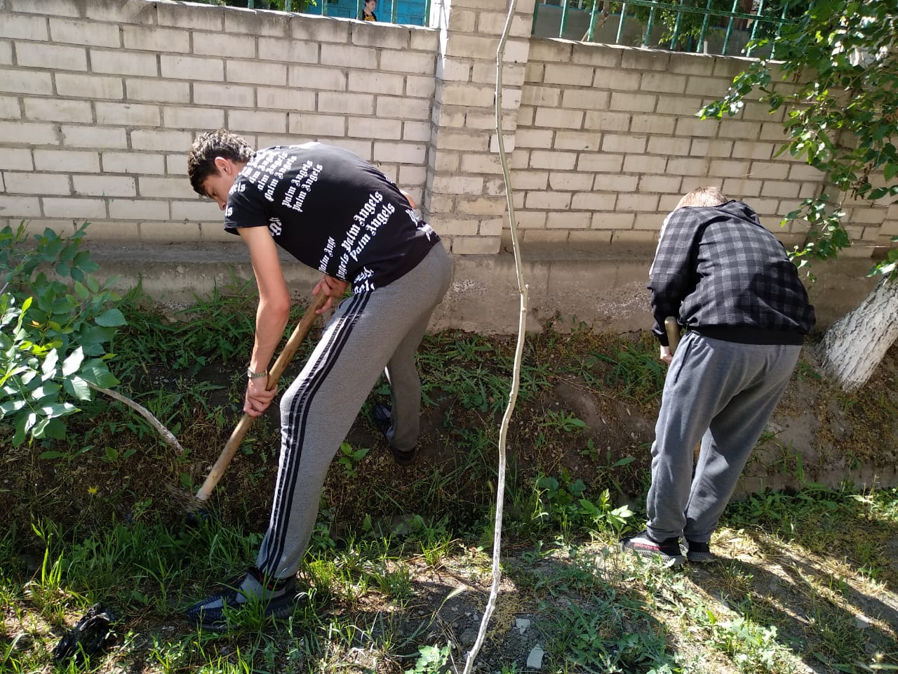 Школьников на время летних каникул поможет трудоустроить Минтруда РД