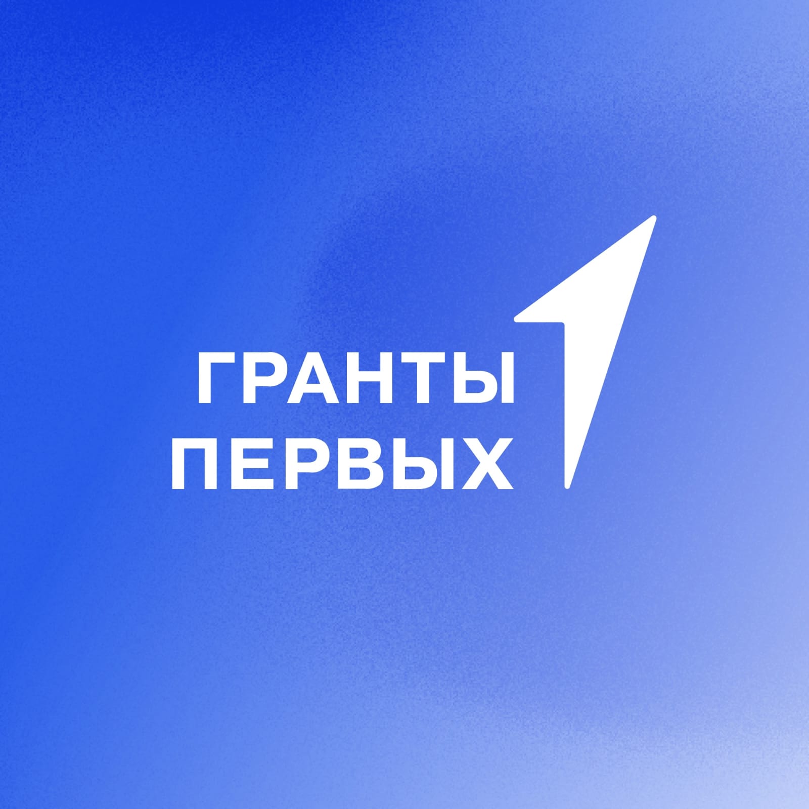 Более 13 миллионов рублей выиграли победители Конкурса грантов Движения Первых из Дагестана