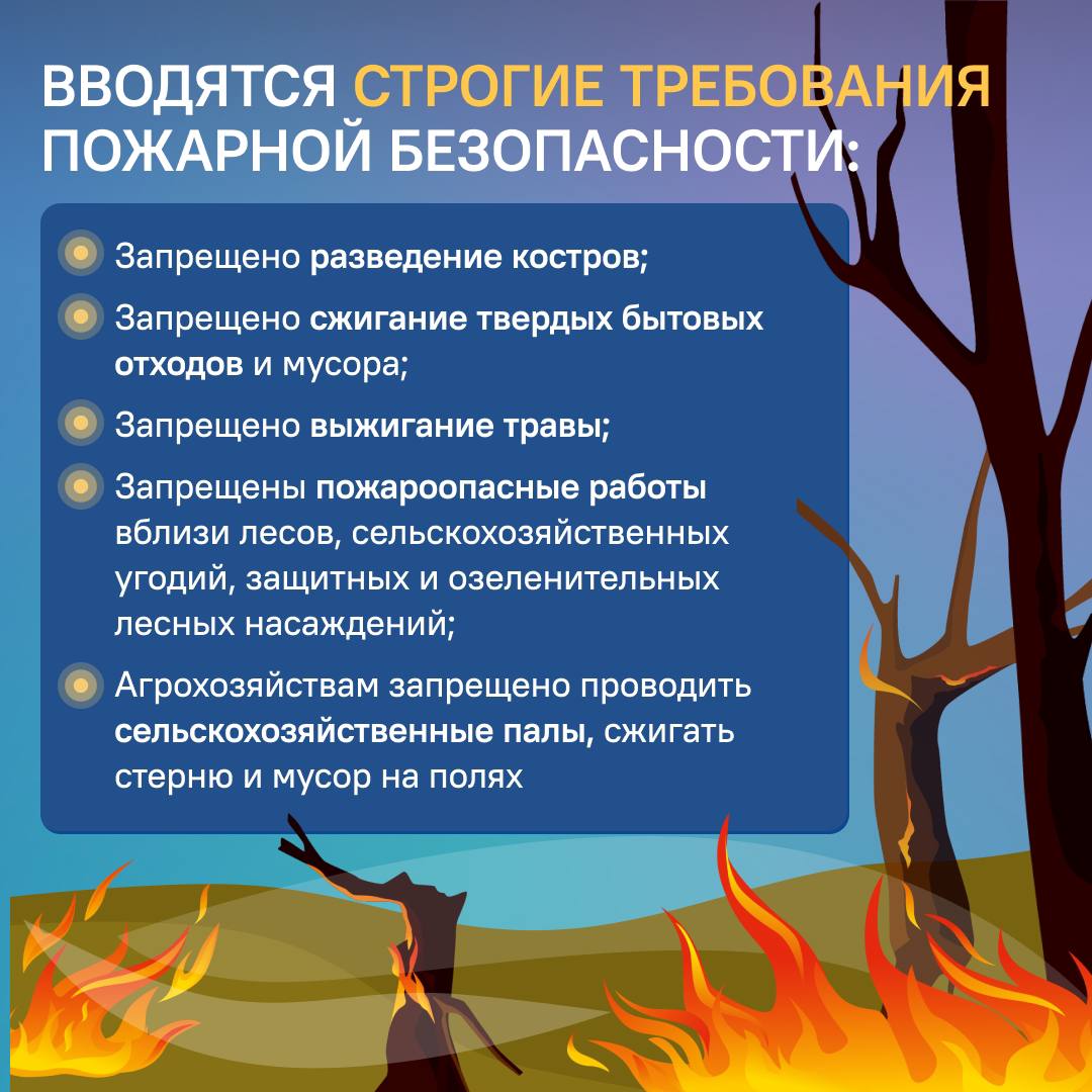 В Дагестане введен особый противопожарный режим