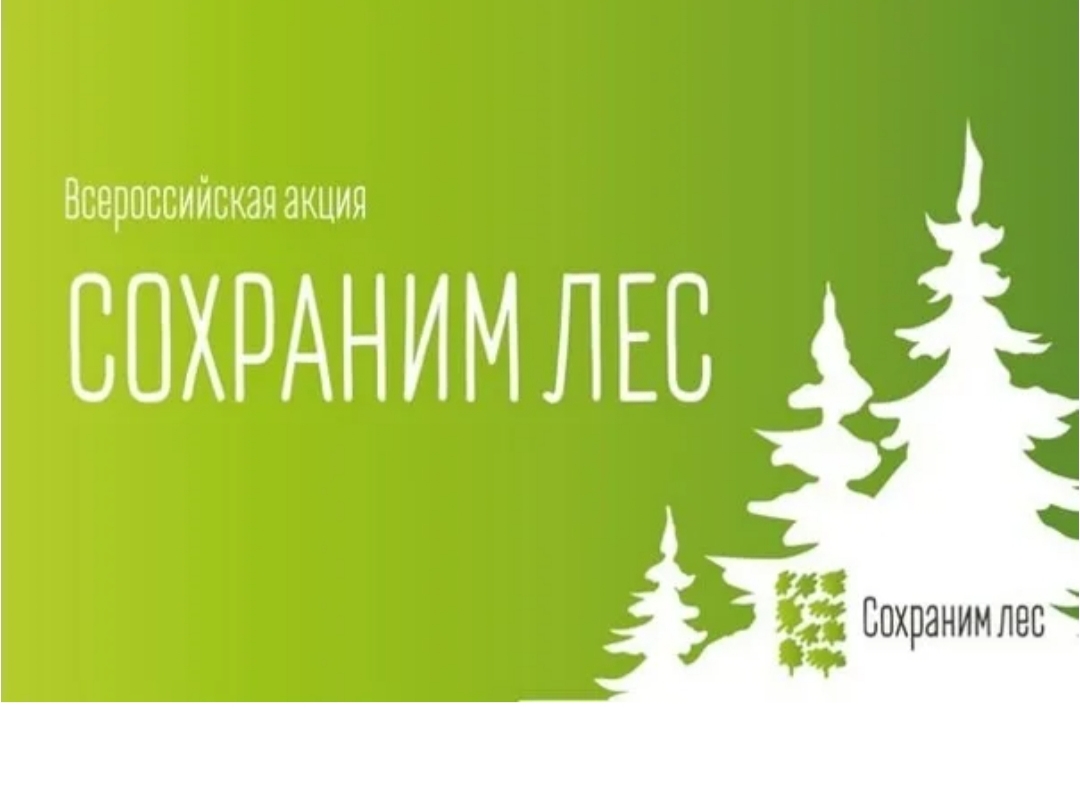 В Махачкале состоится главное событие всероссийской акции «Сохраним лес»