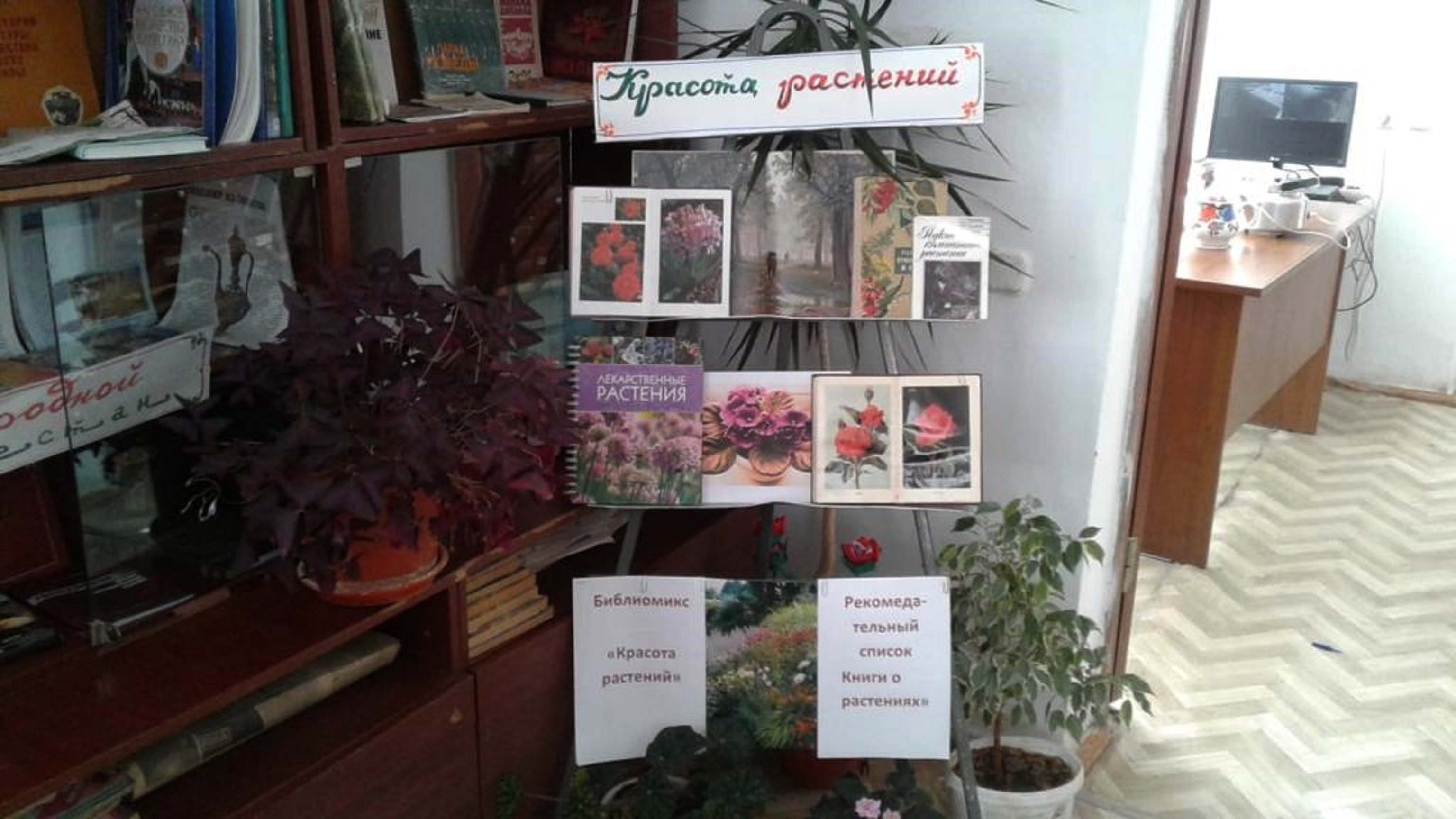 Забота об окружающей среде