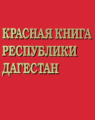 К Международному Дню охраны окружающей среды