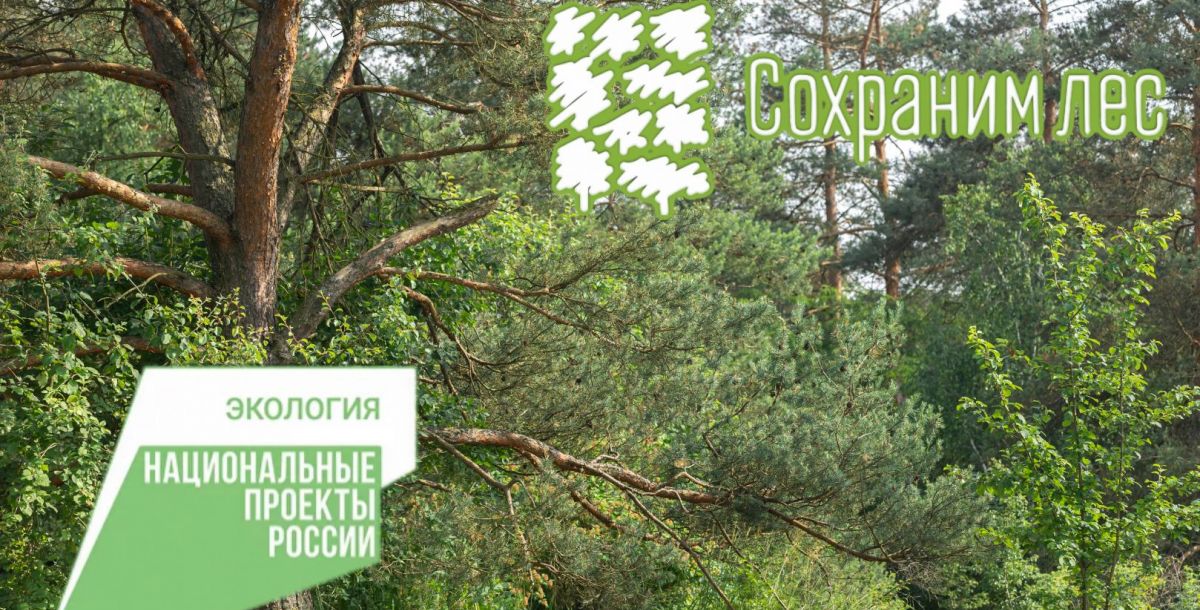 В Дагестане пройдет акция «Сохраним лес»
