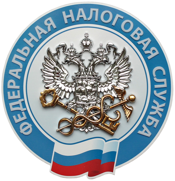 В Дагестане стартовала Декларационная кампания -2021