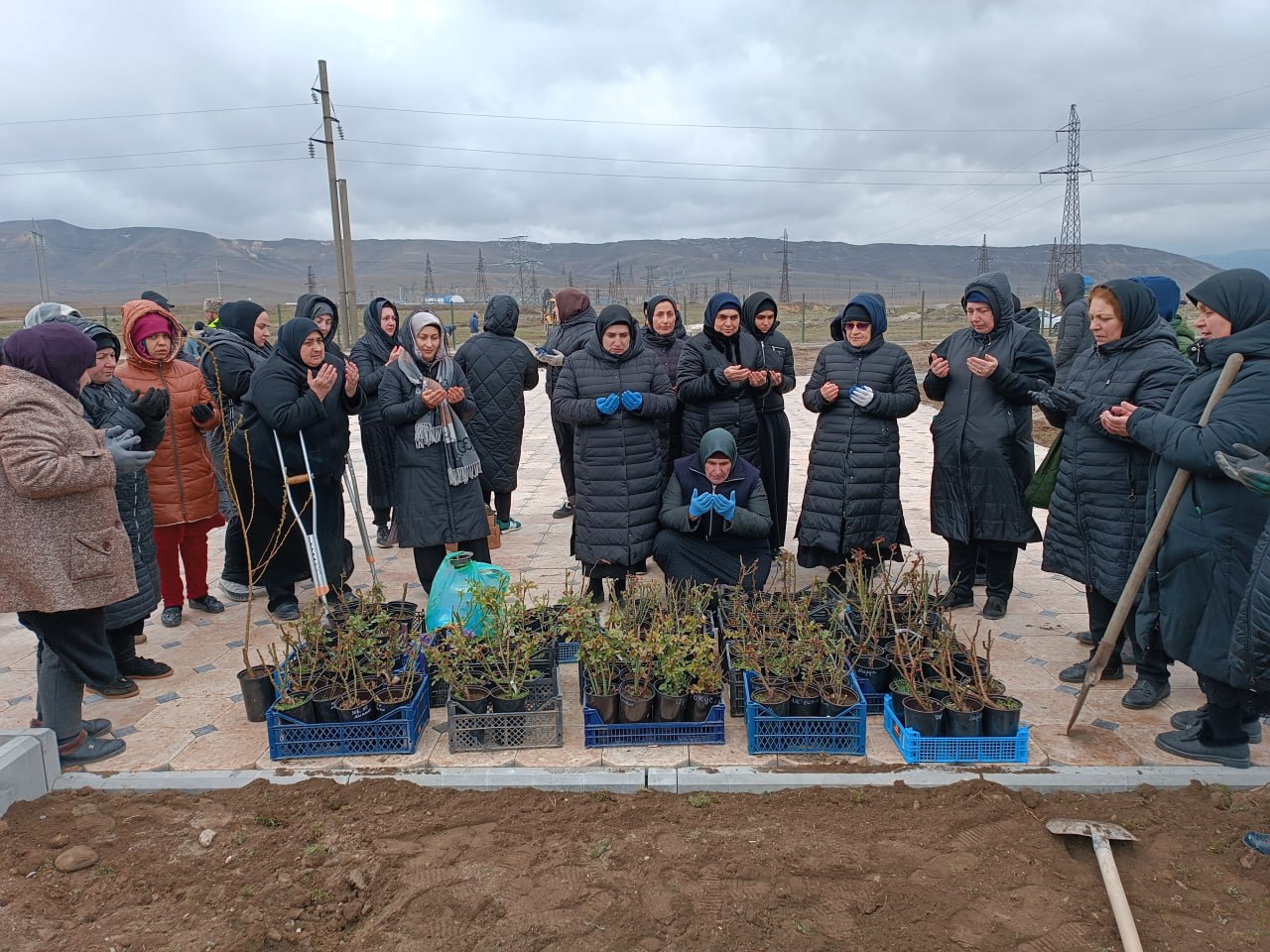 Социальные работники Кизилюрта приняли участие в посадке деревьев в "Саду памяти" участникам СВО