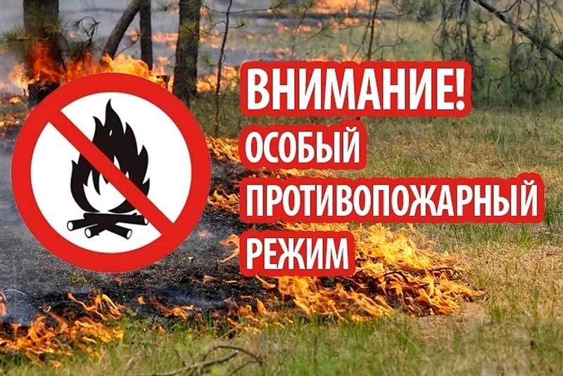 В Дагестане установлен особый противопожарный режим