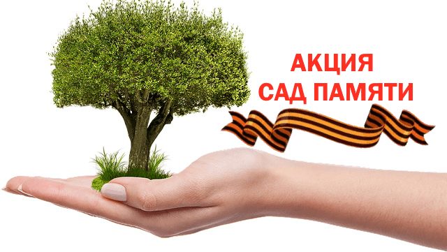 К международной акции "Сад памяти" присоединится сегодня Каспийск