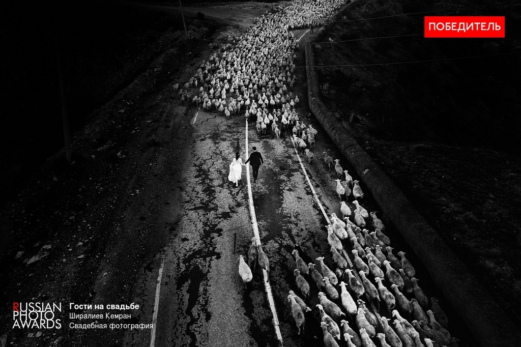 Фотография дагестанца Кемрана Ширалиева признана лучшей в номинации "Свадебное фото" главного фотоконкурса страны