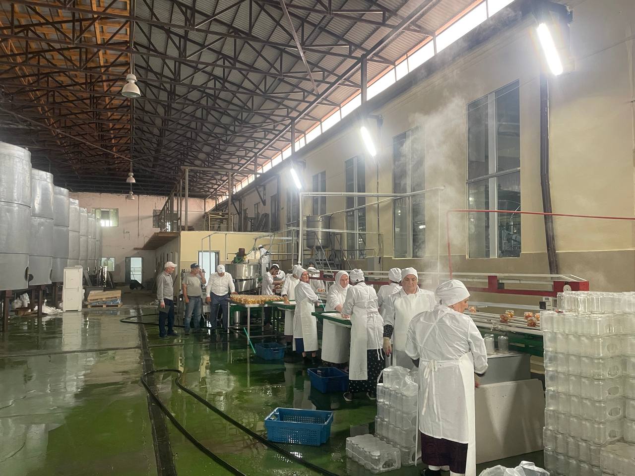 Сезон переработки плодов и овощей стартовал в Дагестане